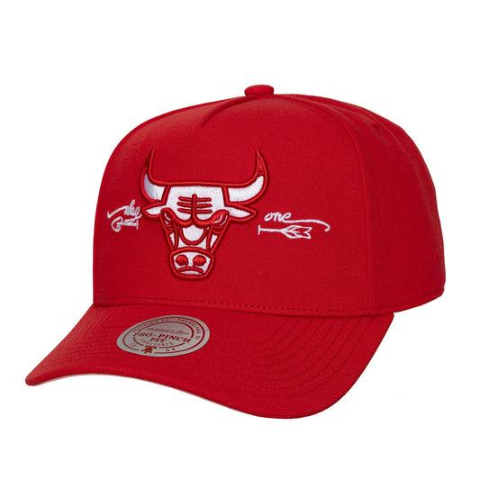 Chicago Bulls NBA Shot Through the Heart Pro Snapback Mitchell & Ness Official NBA Fan Gear